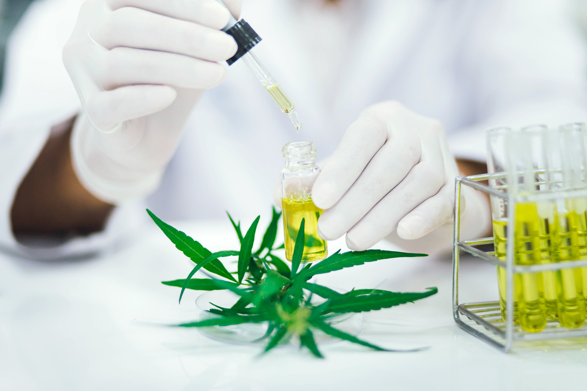 Scientist in Laboratory Testing Cannabidiol Extracted from Marijuana
