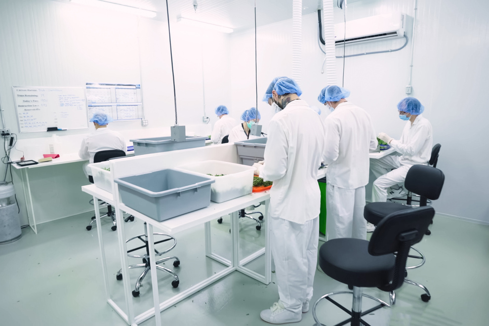 Uniformed Workers in a Laboratory